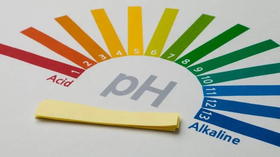 acid ph drink
